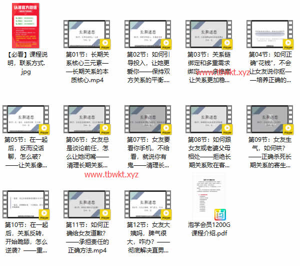 倪《长期迷恋》视频课程