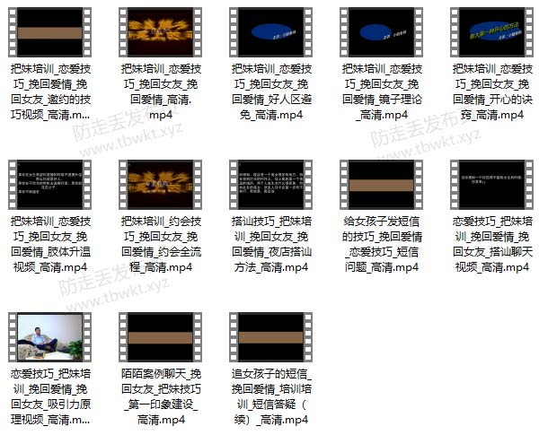 爱情体系挽回学院 视频课程